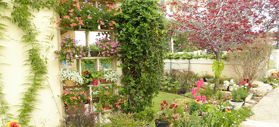 גינה בבית דיור מוגן בנורדיה, מגדלי הים התיכון