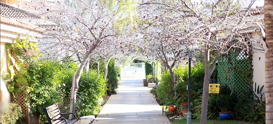 הצמחייה בבית בנורדיה