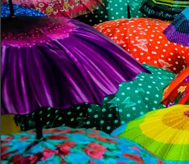 פרפראות חורף במגדלי הים התיכון דיור מוגן