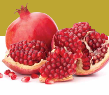 שנה חדשה במגדלי הים התיכון שנה חדשה במגדלי הים התיכון