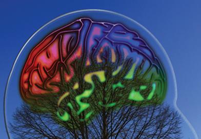 דיירי דיור מוגן לומדים על חקר המוח דיירי דיור מוגן לומדים על חקר המוח