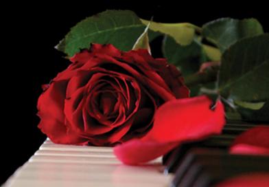 הפסנתרן המאוהב במגדלי הים התיכון הפסנתרן המאוהב במגדלי הים התיכון