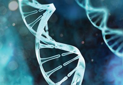 חקר גנטיקה חקר גנטיקה