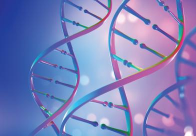 42255_kfar saba_pic12