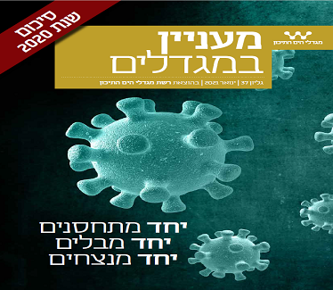 שער מעניין במגדלים 37