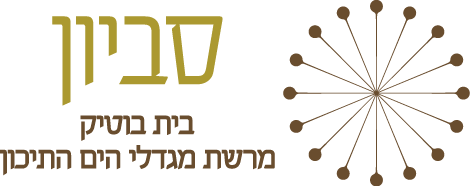 LOGO_SAVYON_PNG_(1)